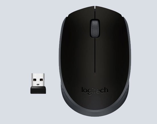 logitech b170 mouse